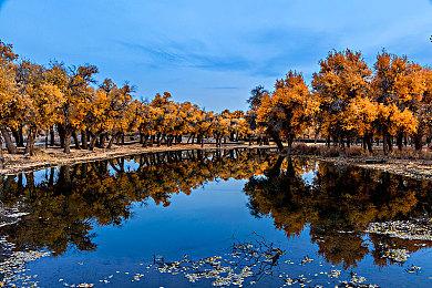 《荣耀战魂》庆祝3500万玩家数达成 瓦兰吉卫队官方玩法预告公布